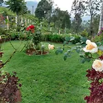 Green Home