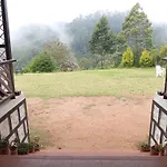 Jungle View