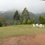 Jungle View