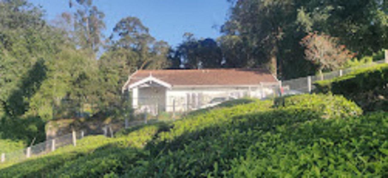 Holiday home Dew Drops By Lexstays
