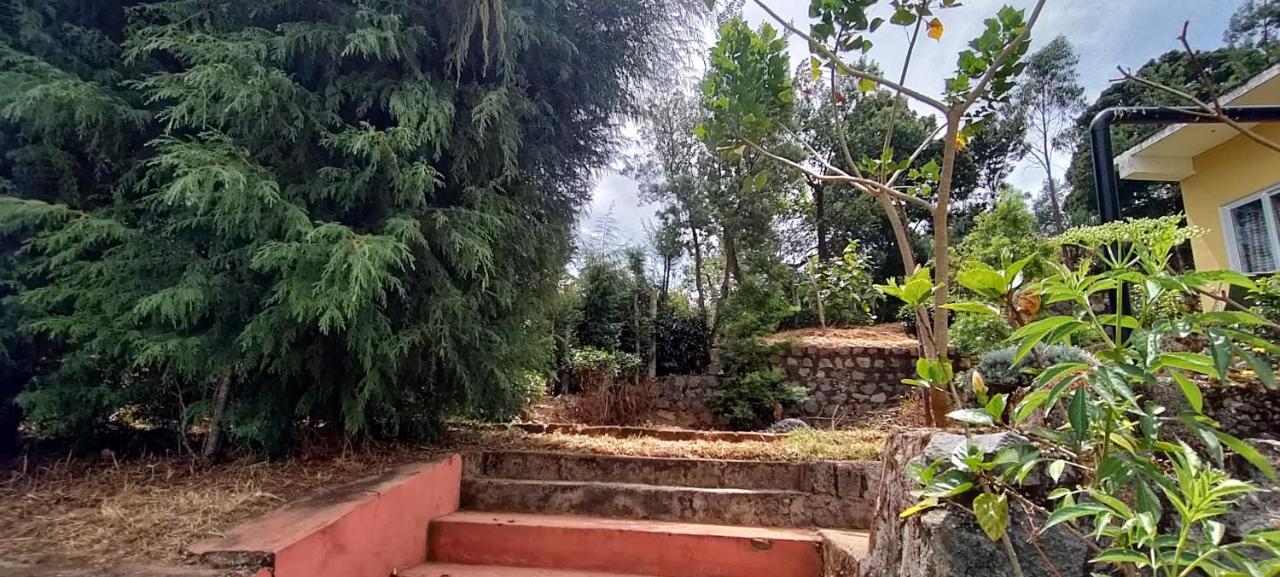 Misty Hillz Ooty * Coonoor