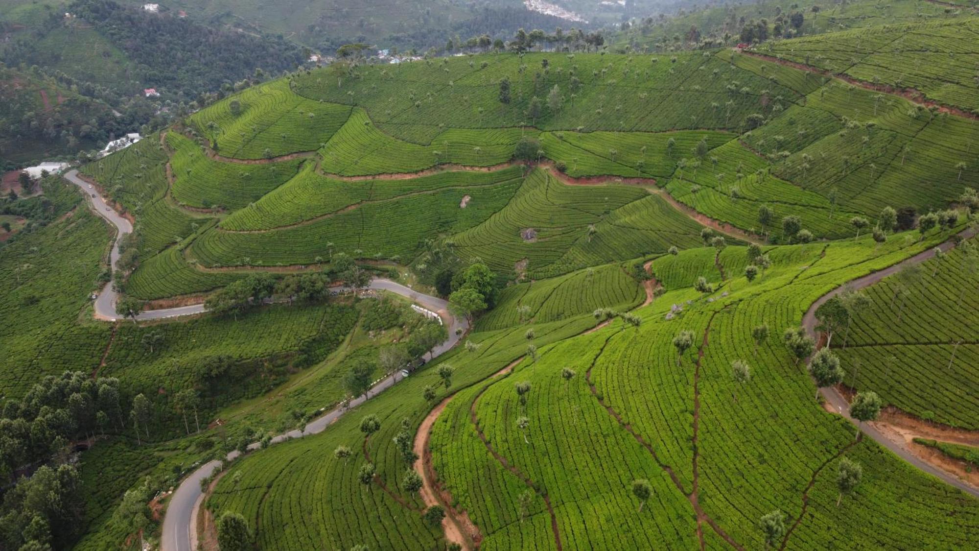 Casa De Selas * Coonoor