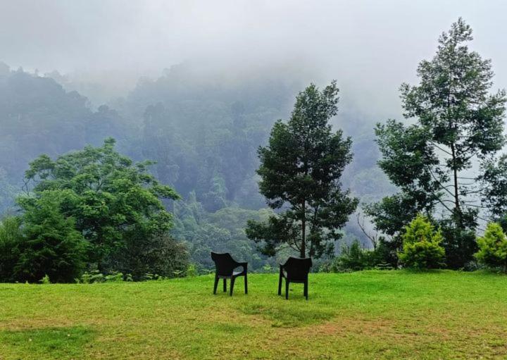 Jungle View Homestay *