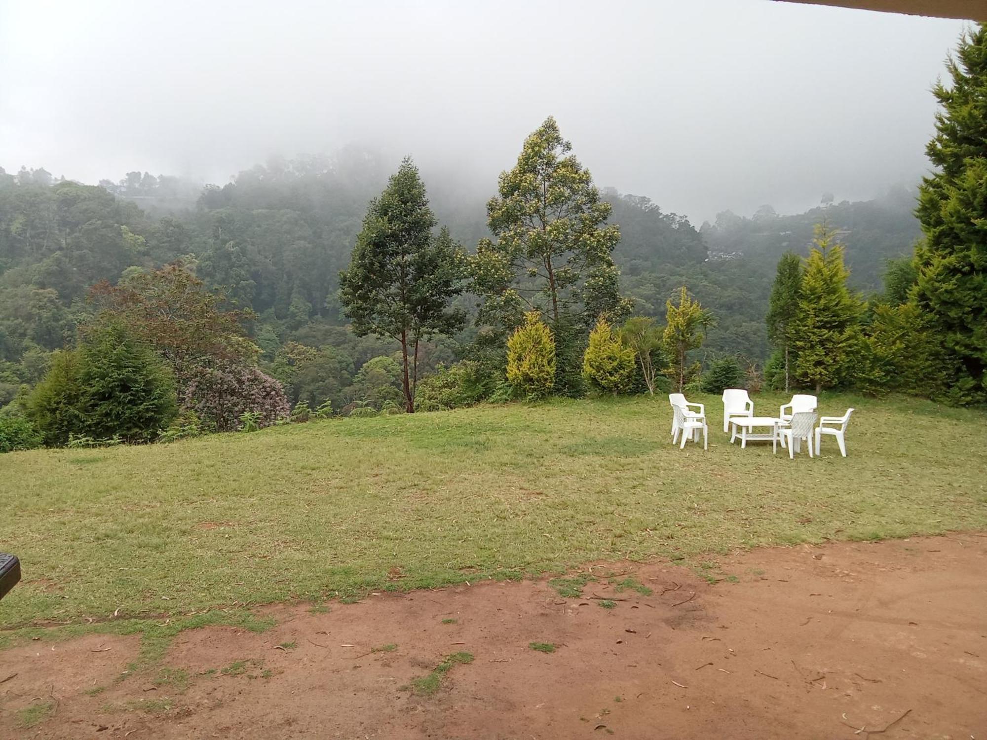 Homestay Jungle View *