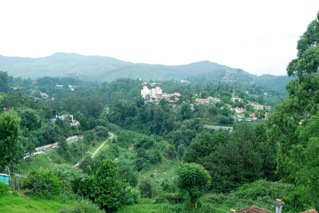 Homestay Bella Vista