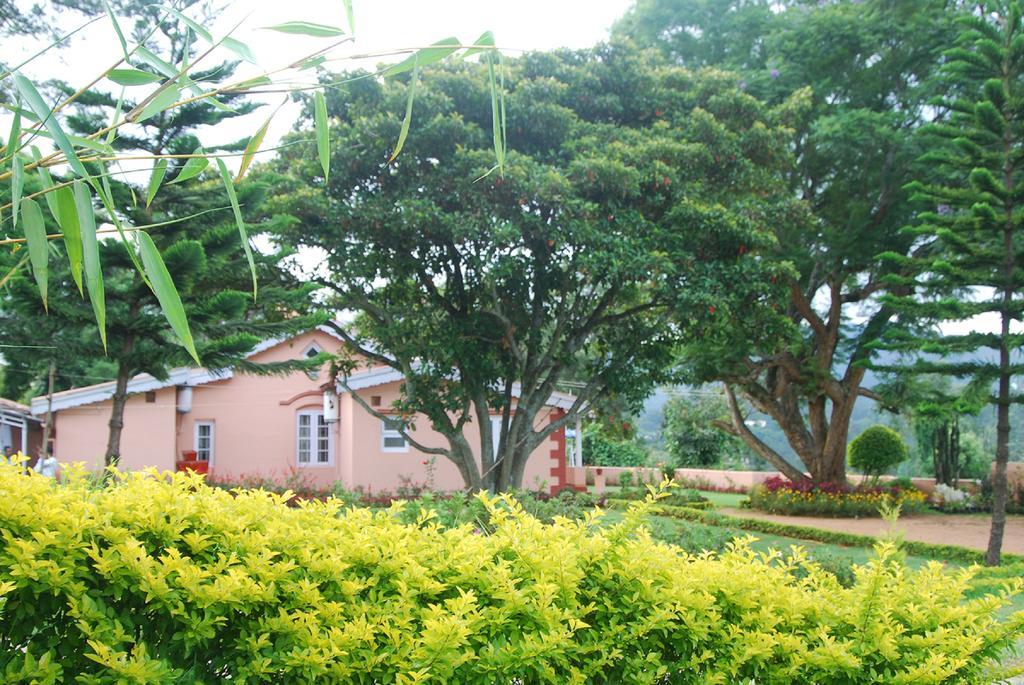 Bella Vista Homestay *