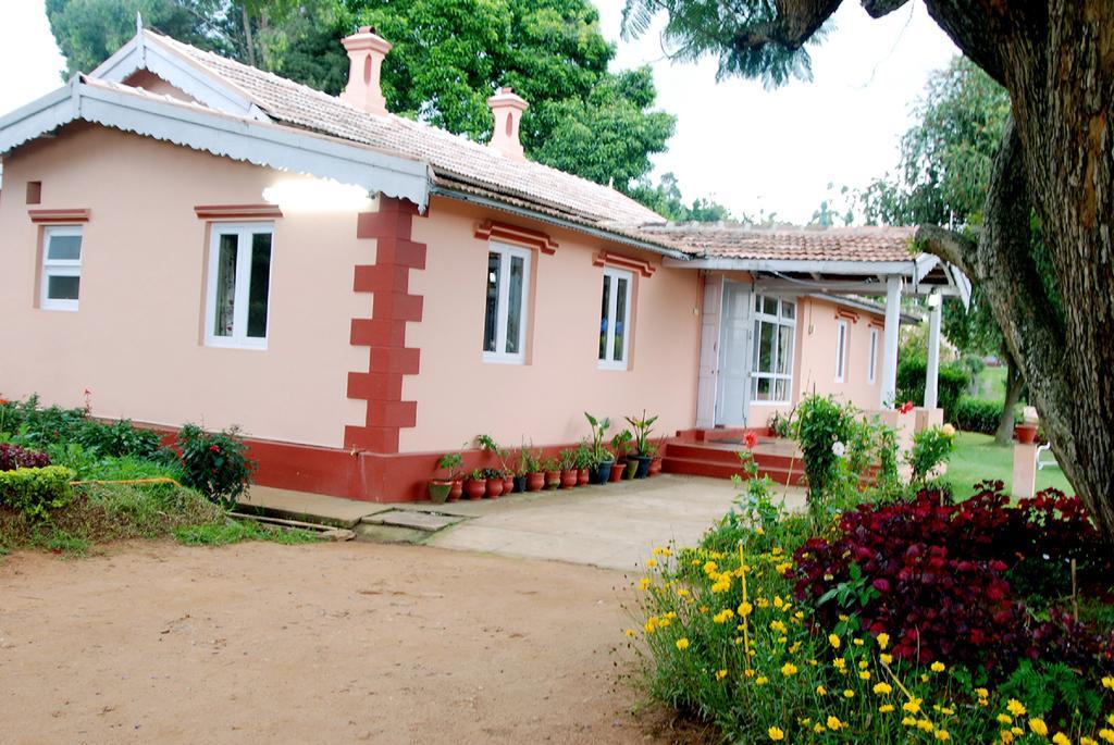 Bella Vista Homestay *