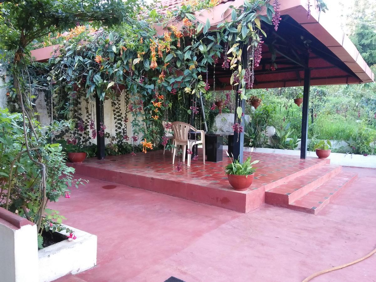 Homestay Oaks Homestay