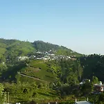 Misty 39 Athigaratty