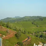 Misty 39 Athigaratty