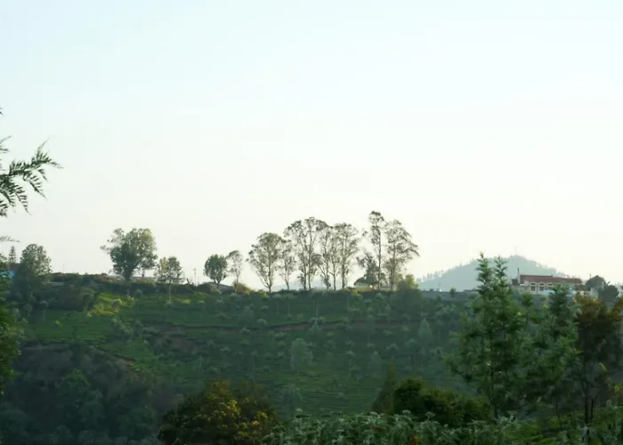 Misty 39 Athigaratty