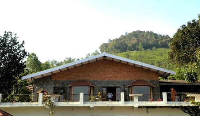 Teanest By Nature And 3*