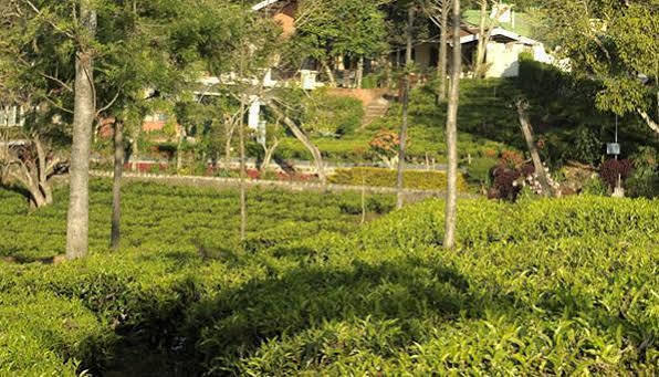 Teanest By Nature And 3* Coonoor