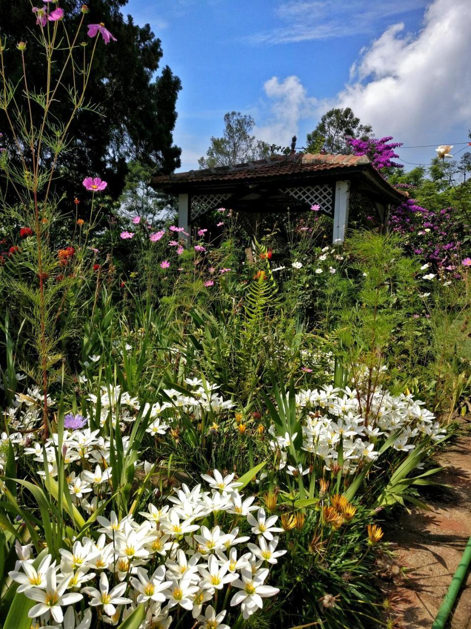 Erin * Coonoor