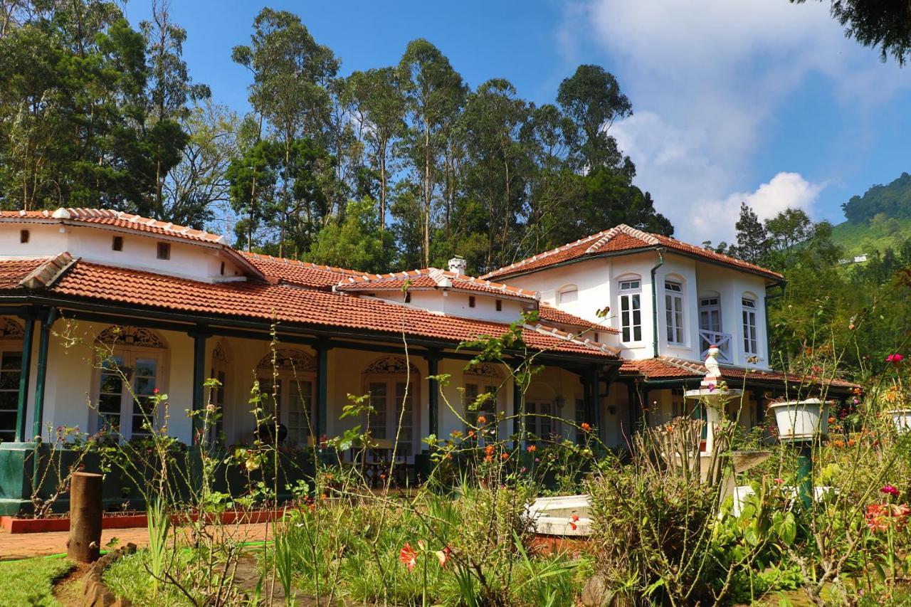 Erin Coonoor
