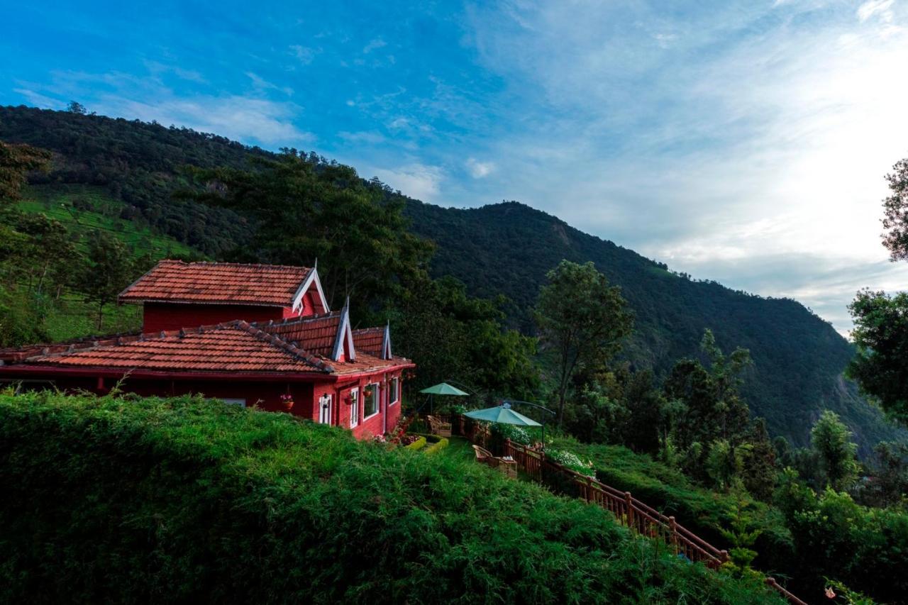 Teanest By Nature And Coonoor